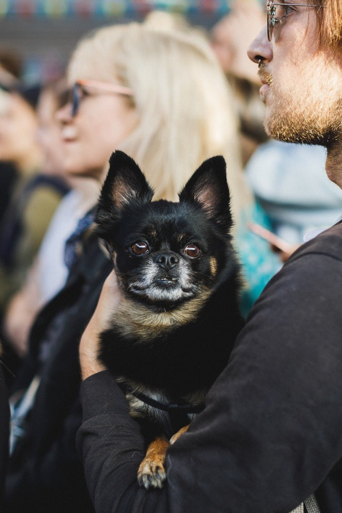 16 июня 2019 на Стрелке / фото Иван Гущин. Фотоотчеты «Ламбада-маркета»