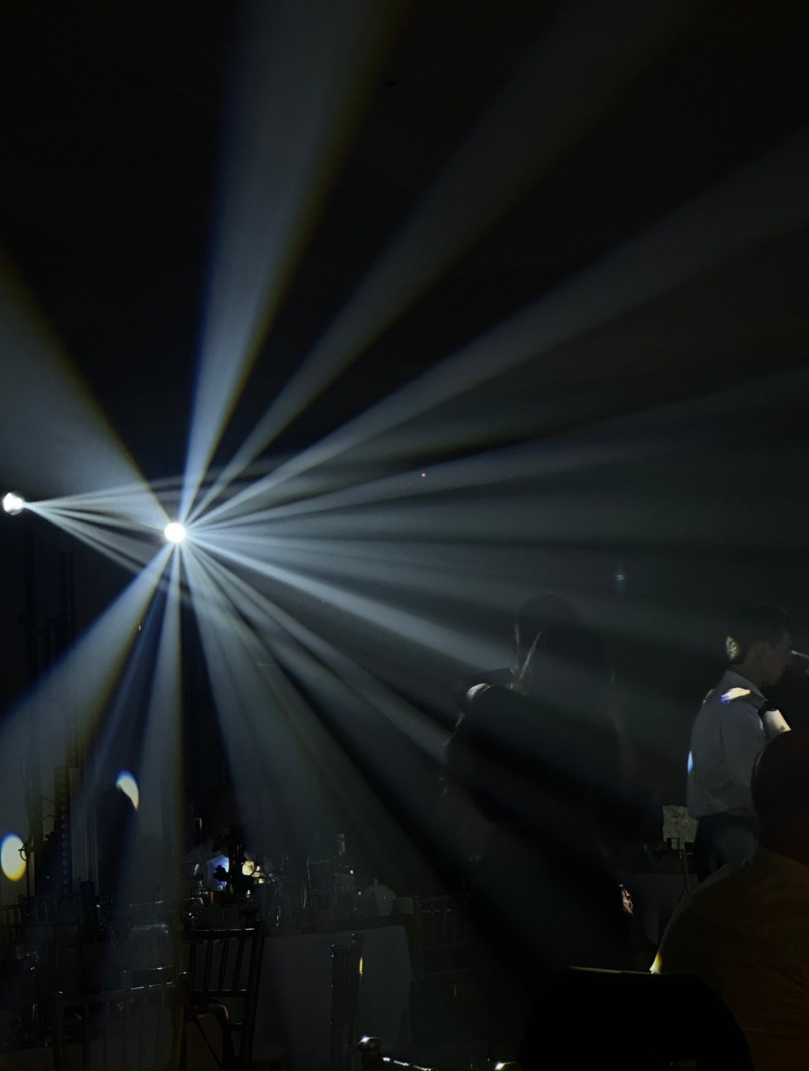 Фото. ПроСвет — Свет на свадьбу