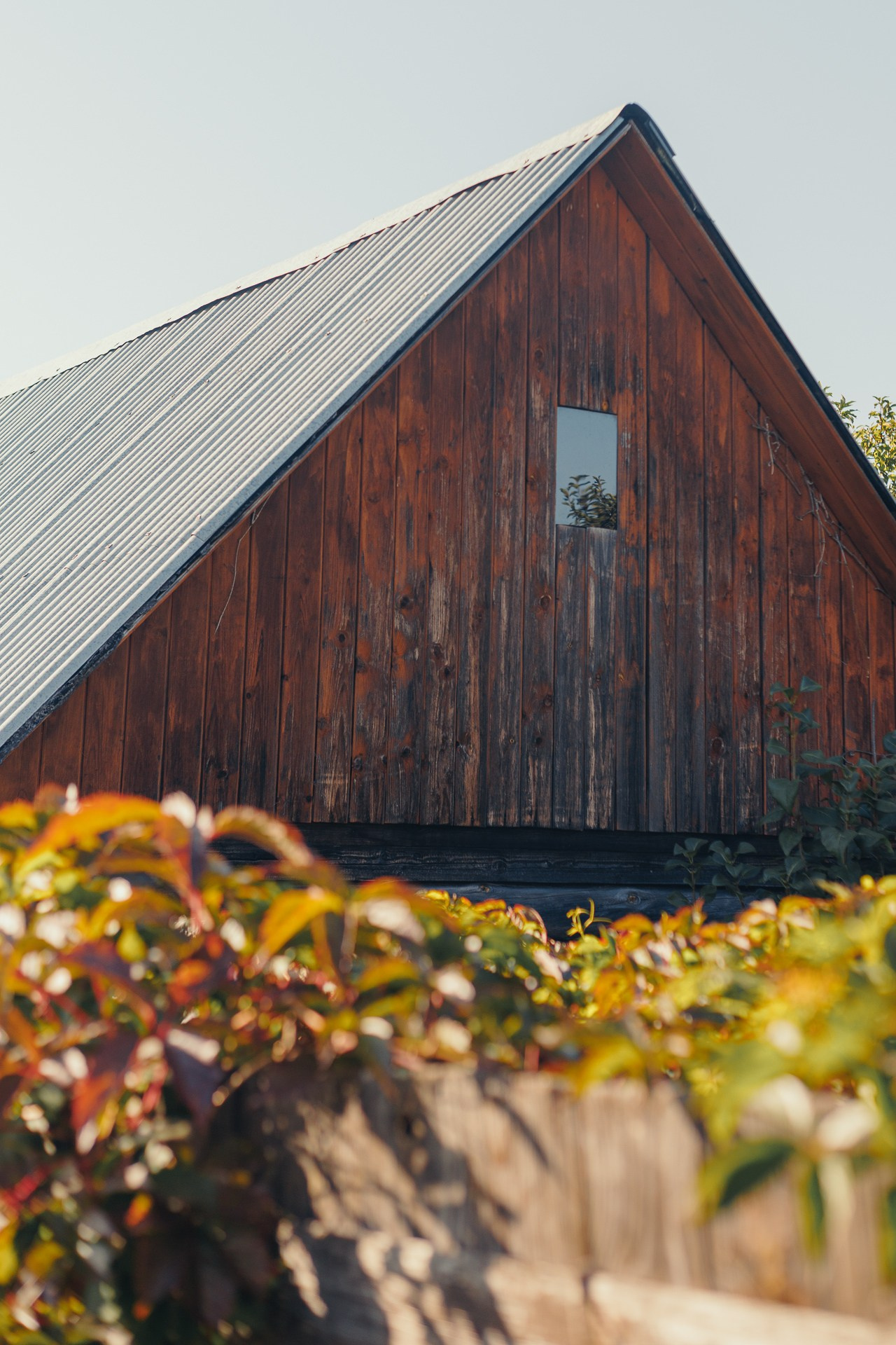 Репортажная съемка. Портретный фотограф в Москве Евгений Уткин