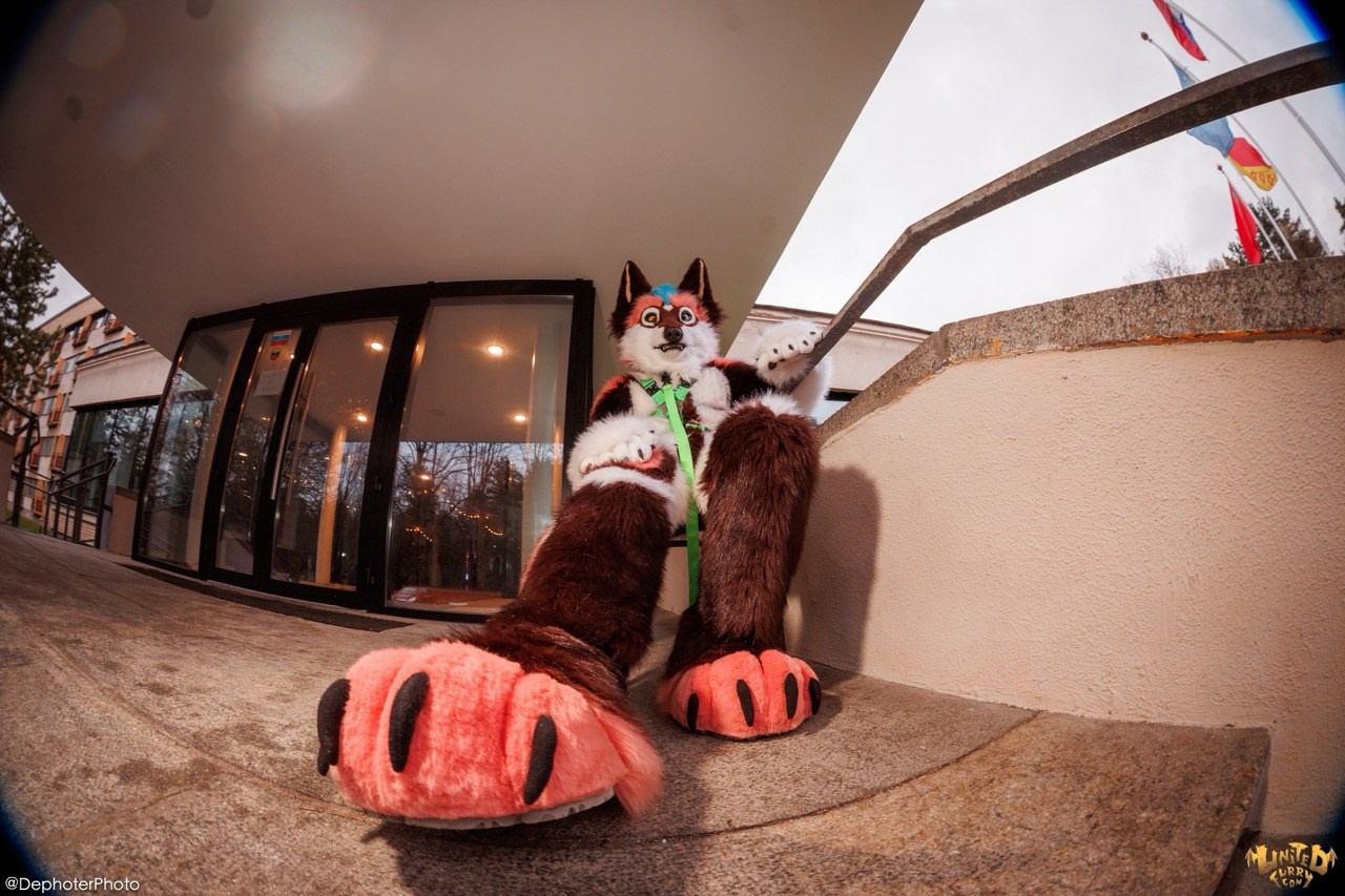 United Furry Convention 2026. Различные мероприятия и просто фотографии людей