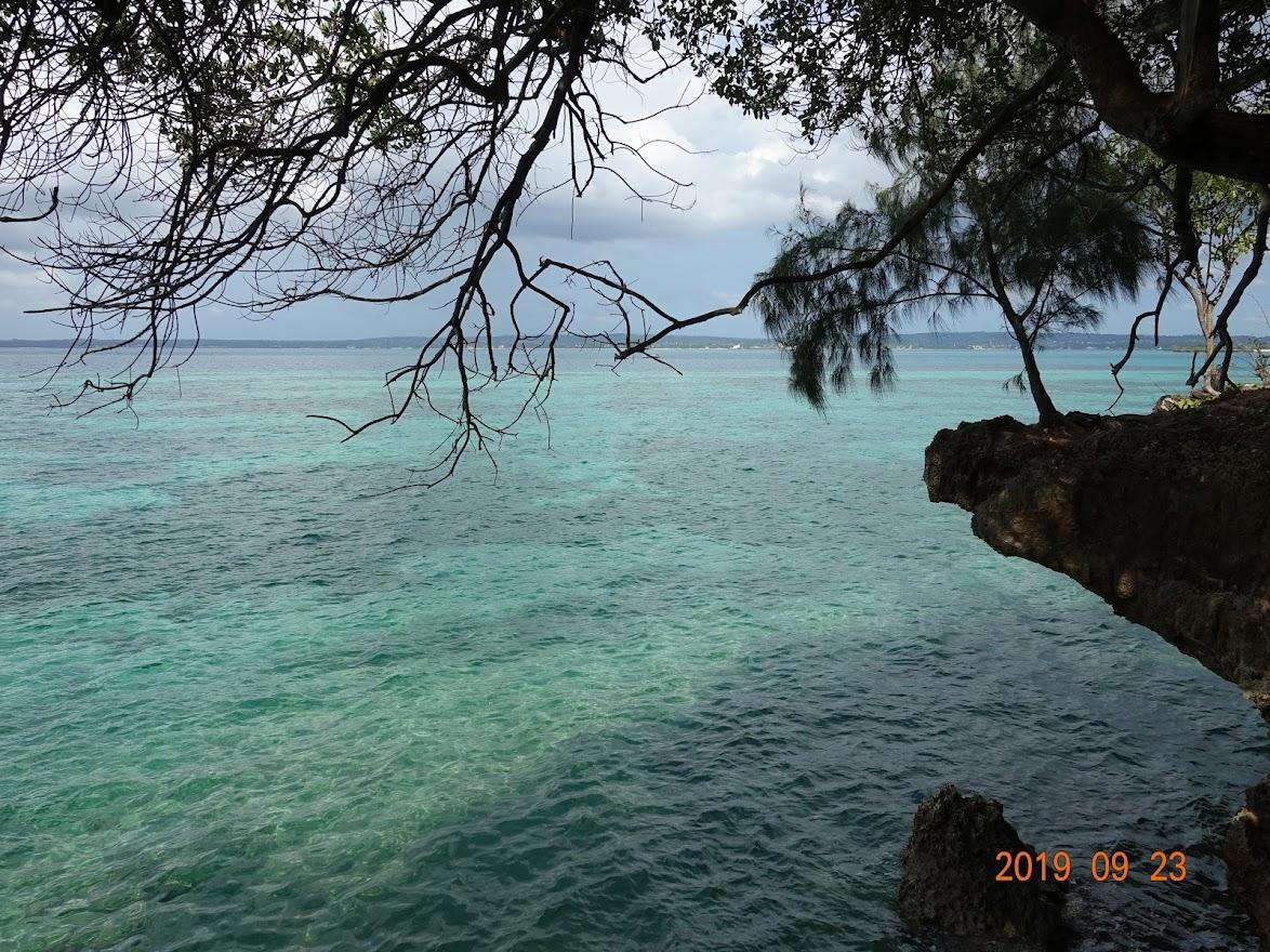 Занзибар, 2019 г. Дайвинг-клуб «Капитан Морган», Беларусь