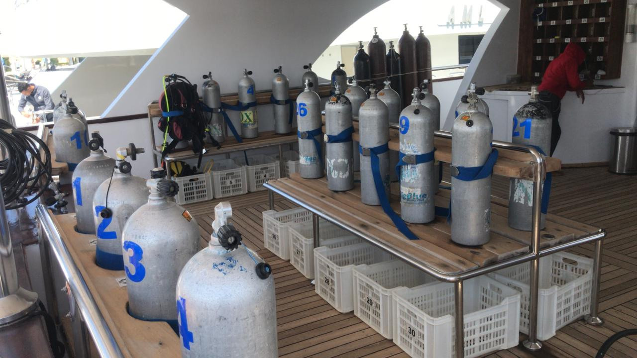 7-14-05-2022. Дайвинг-клуб «Капитан Морган», Беларусь