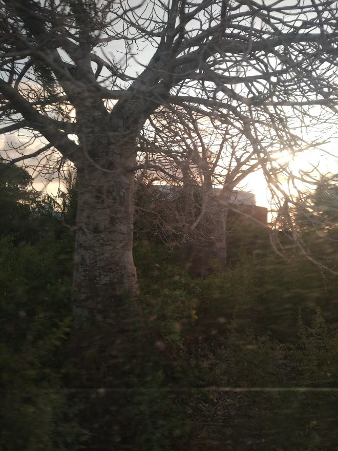 Занзибар, 2019 г. Дайвинг-клуб «Капитан Морган», Беларусь