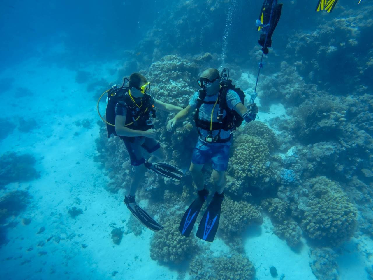 Молодежное дайвинг-сафари. Дайвинг-клуб «Капитан Морган», Беларусь