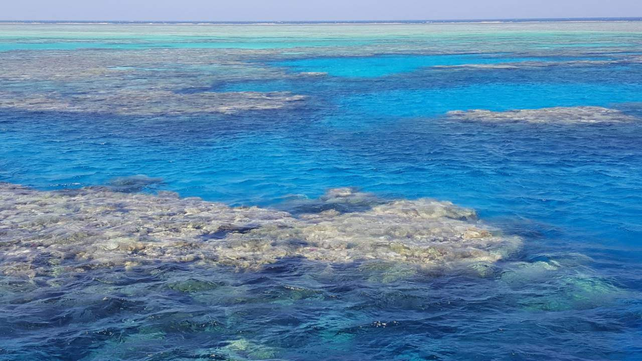 Молодежное дайвинг-сафари. Дайвинг-клуб «Капитан Морган», Беларусь