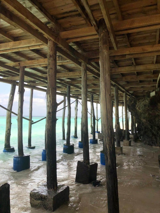 Занзибар, 2019 г. Дайвинг-клуб «Капитан Морган», Беларусь