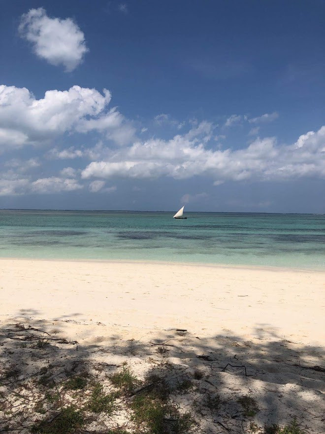 Занзибар, 2019 г. Дайвинг-клуб «Капитан Морган», Беларусь