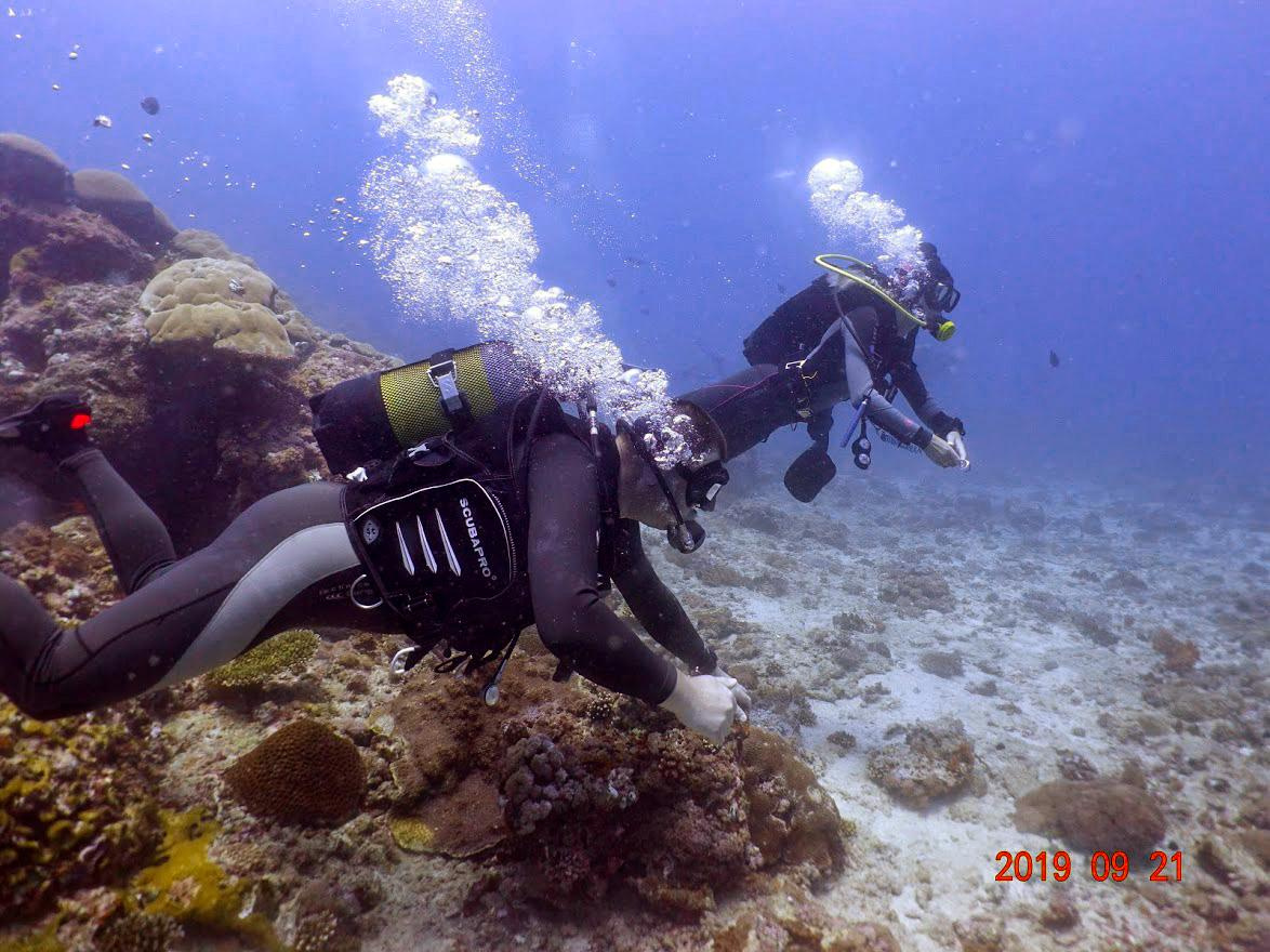 Занзибар, 2019 г. Дайвинг-клуб «Капитан Морган», Беларусь