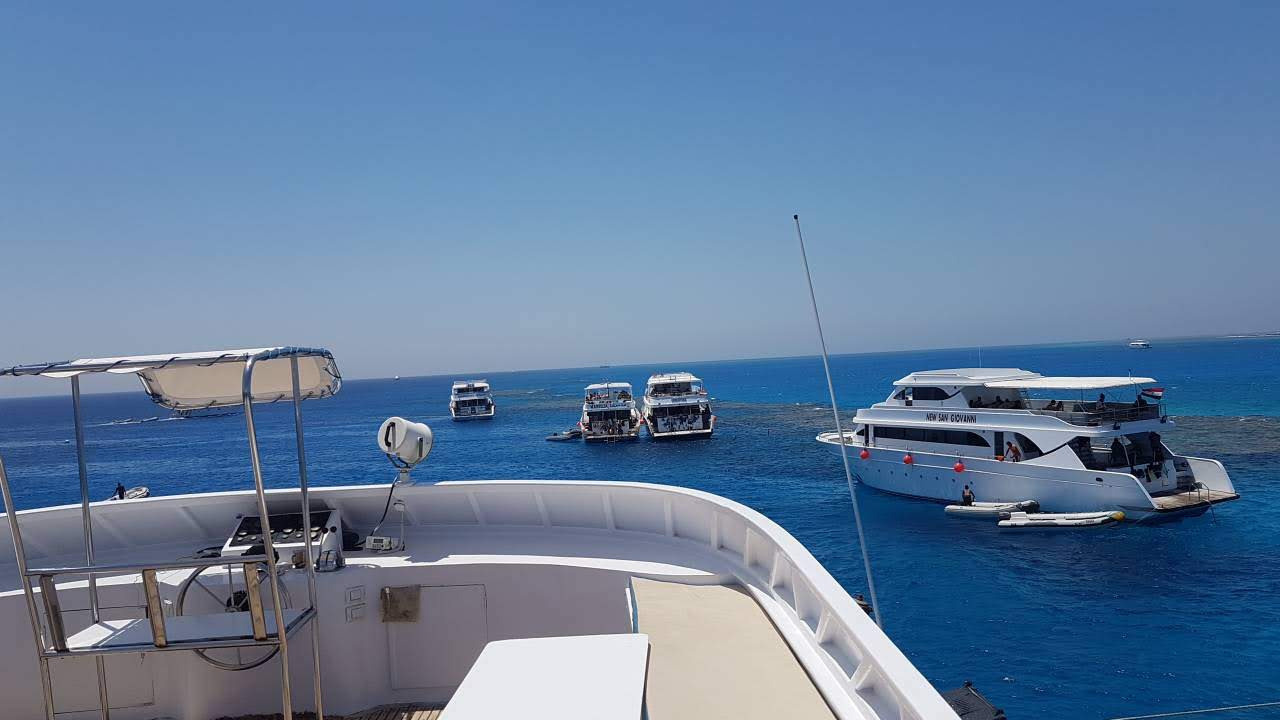 Молодежное дайвинг-сафари. Дайвинг-клуб «Капитан Морган», Беларусь