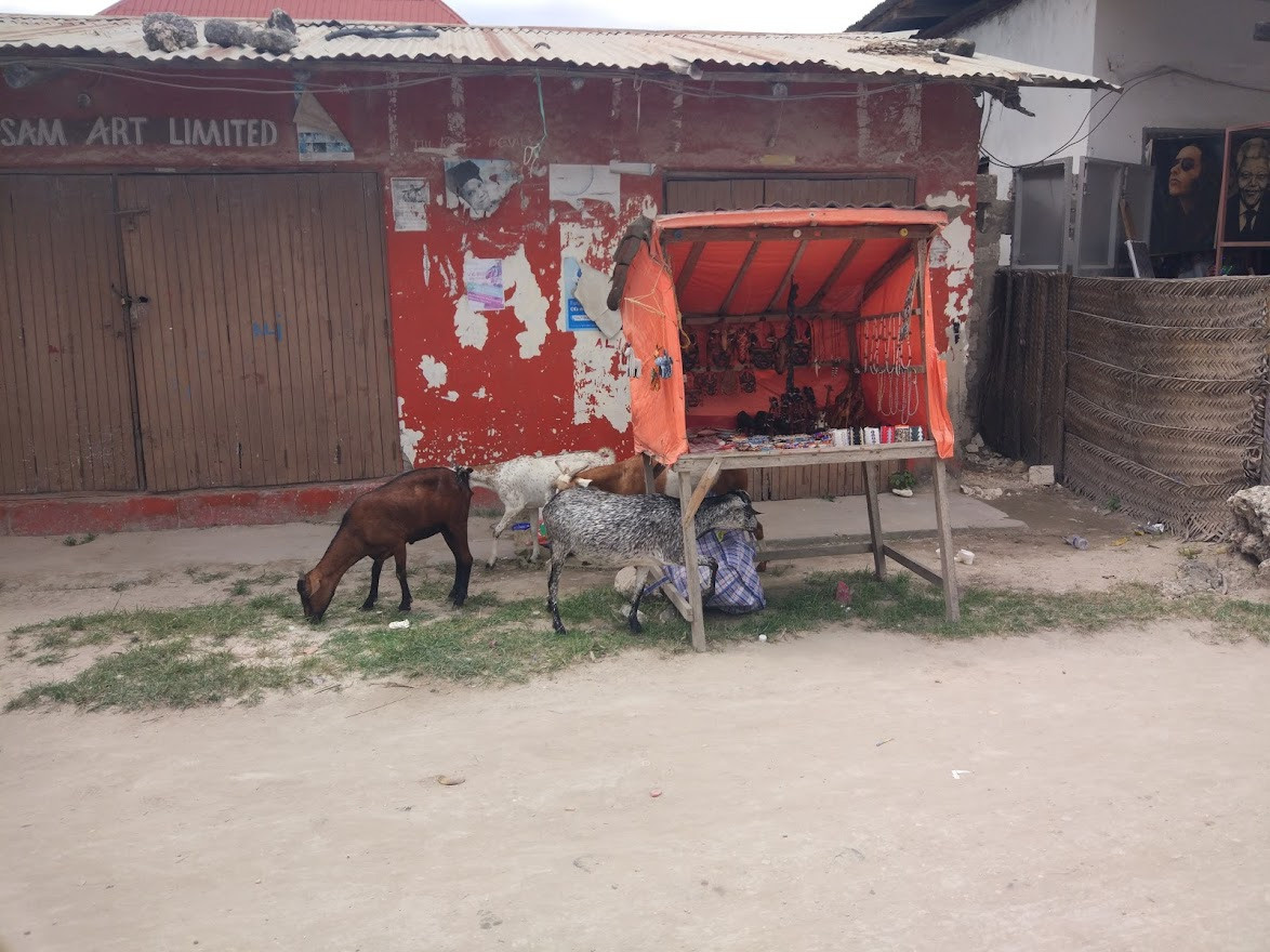 Занзибар, 2019 г. Дайвинг-клуб «Капитан Морган», Беларусь