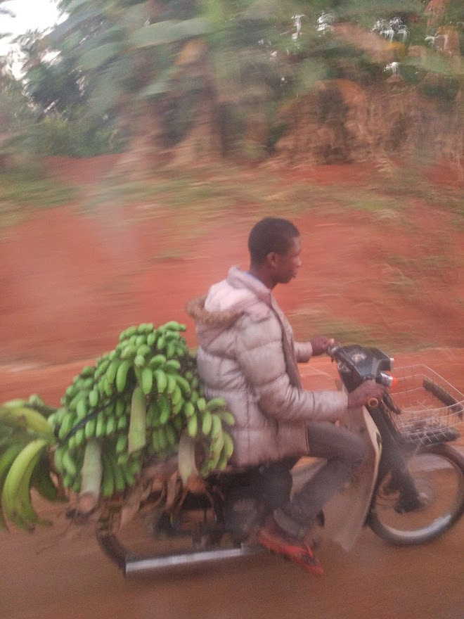 Занзибар, 2019 г. Дайвинг-клуб «Капитан Морган», Беларусь