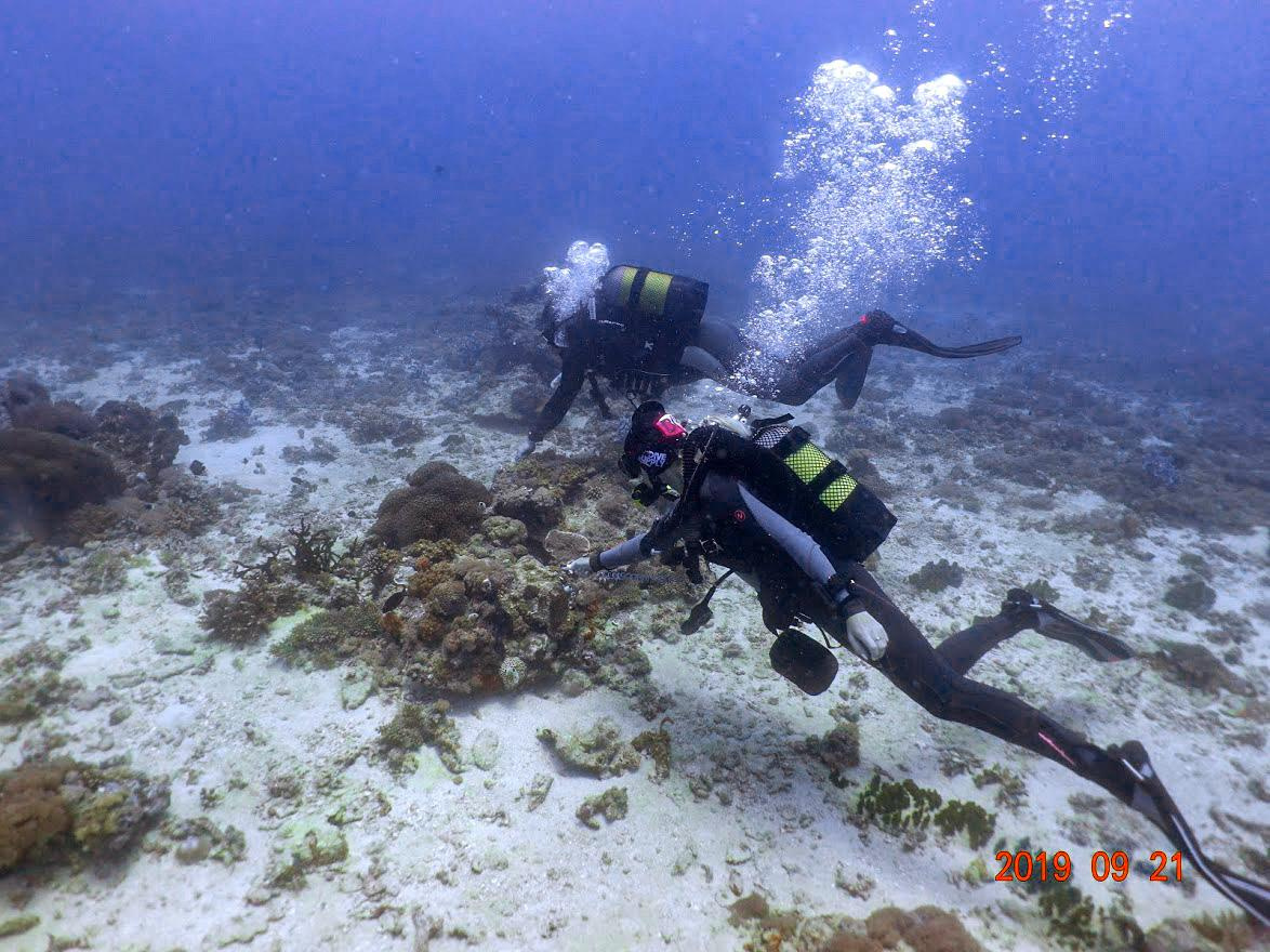 Занзибар, 2019 г. Дайвинг-клуб «Капитан Морган», Беларусь