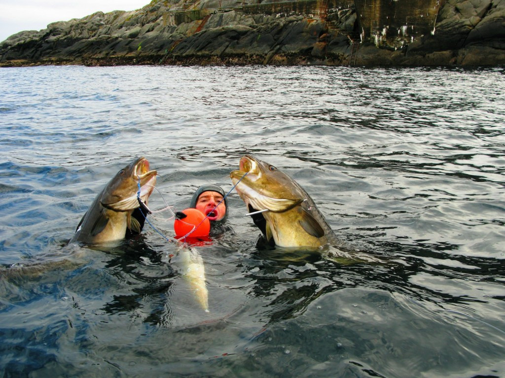 Трофейный тур, Лофотенские острова. Дайвинг-клуб «Капитан Морган», Беларусь