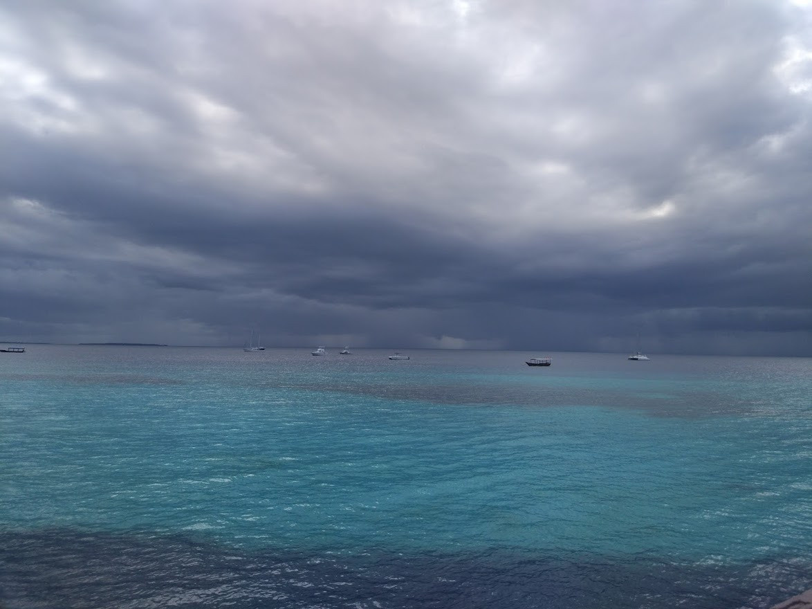 Занзибар, 2019 г. Дайвинг-клуб «Капитан Морган», Беларусь