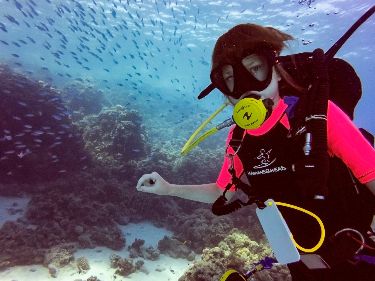 Молодежное дайвинг-сафари. Дайвинг-клуб «Капитан Морган», Беларусь