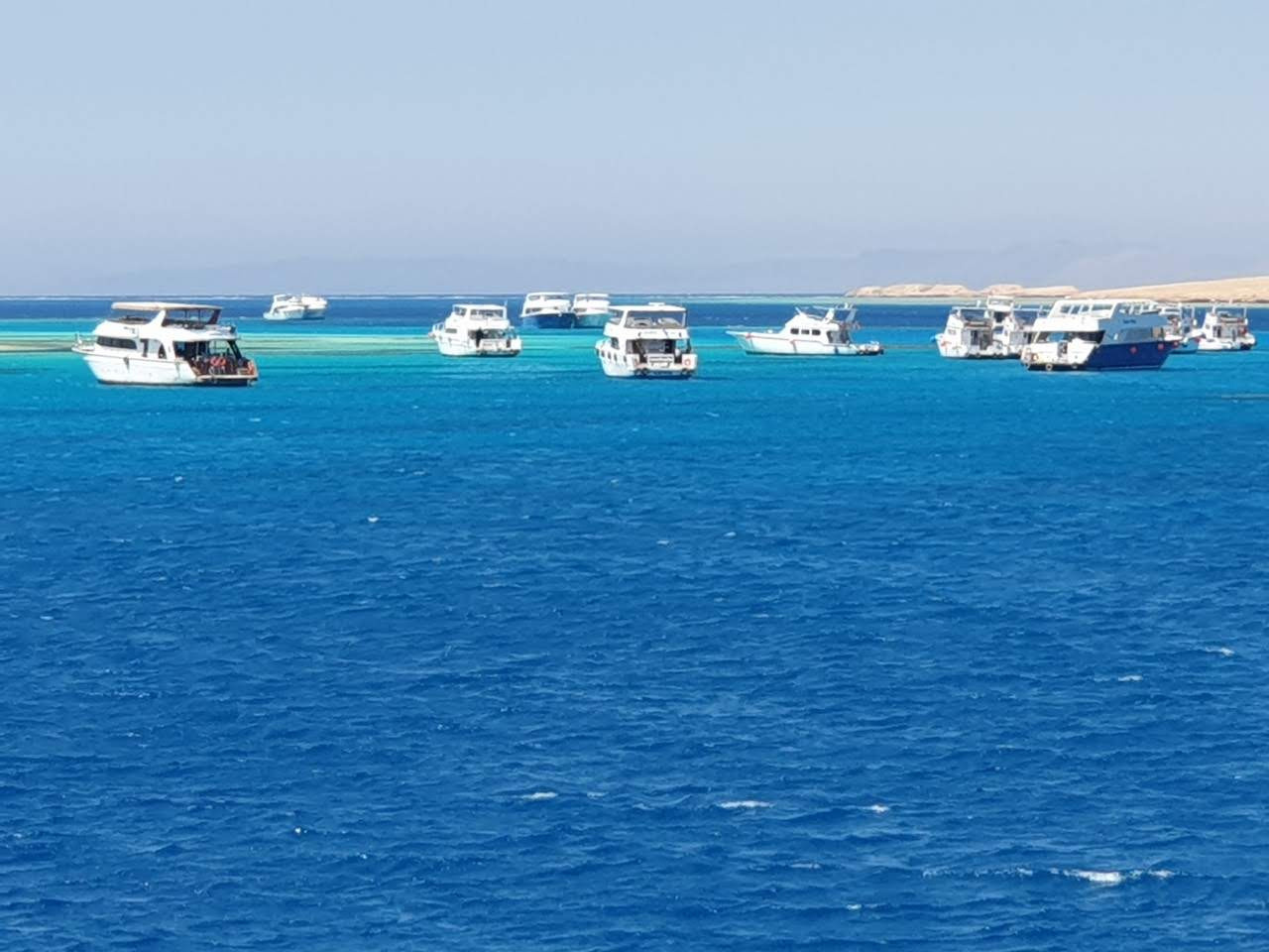 Дайв-сафари, 2019 г. Дайвинг-клуб «Капитан Морган», Беларусь