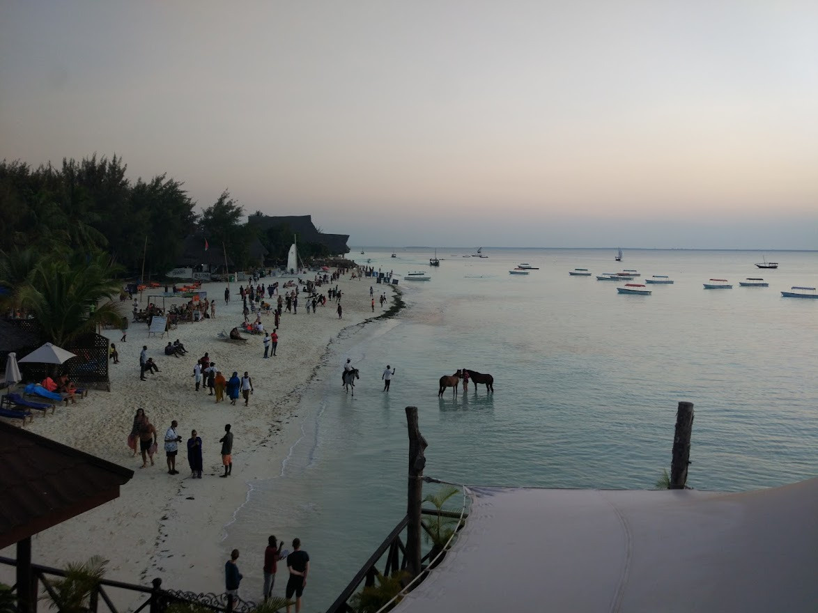 Занзибар, 2019 г. Дайвинг-клуб «Капитан Морган», Беларусь