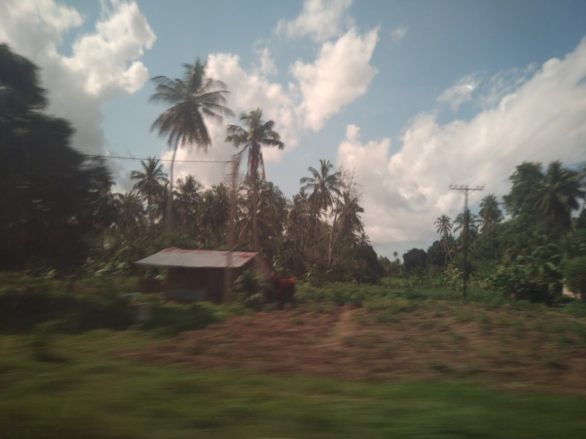 Занзибар, 2019 г. Дайвинг-клуб «Капитан Морган», Беларусь