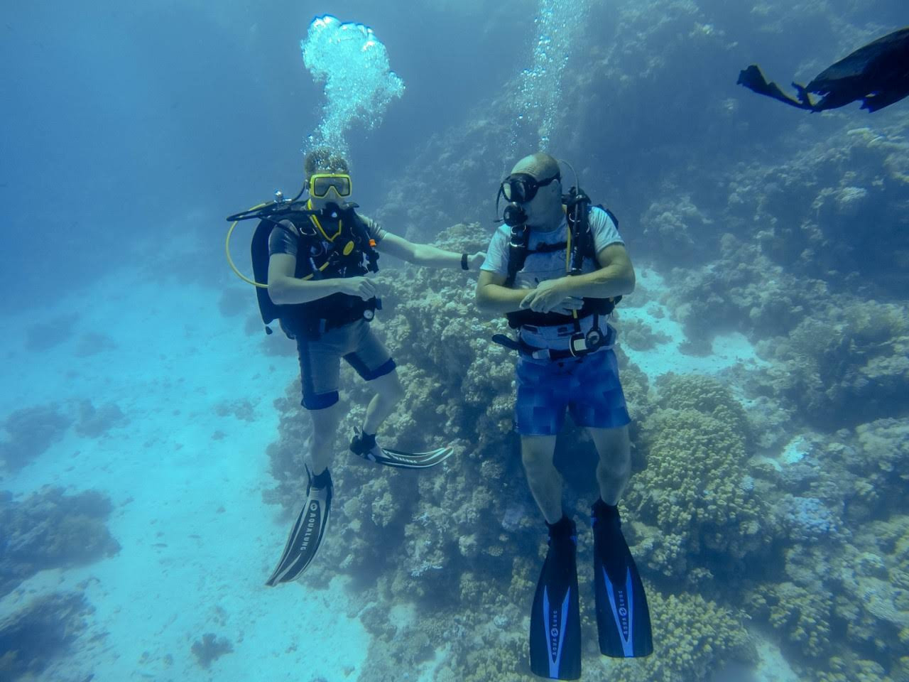 Молодежное дайвинг-сафари. Дайвинг-клуб «Капитан Морган», Беларусь