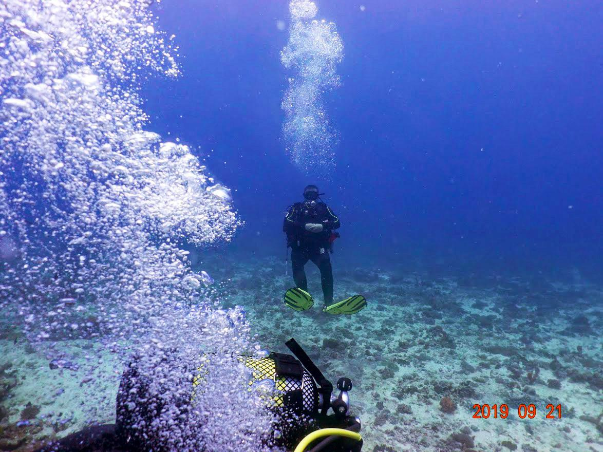 Занзибар, 2019 г. Дайвинг-клуб «Капитан Морган», Беларусь