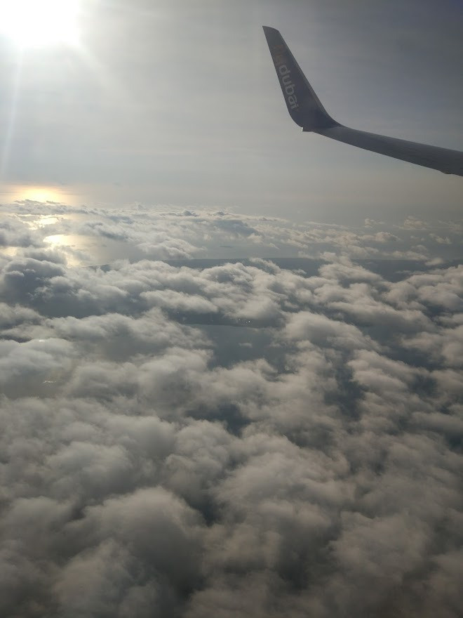 Занзибар, 2019 г. Дайвинг-клуб «Капитан Морган», Беларусь