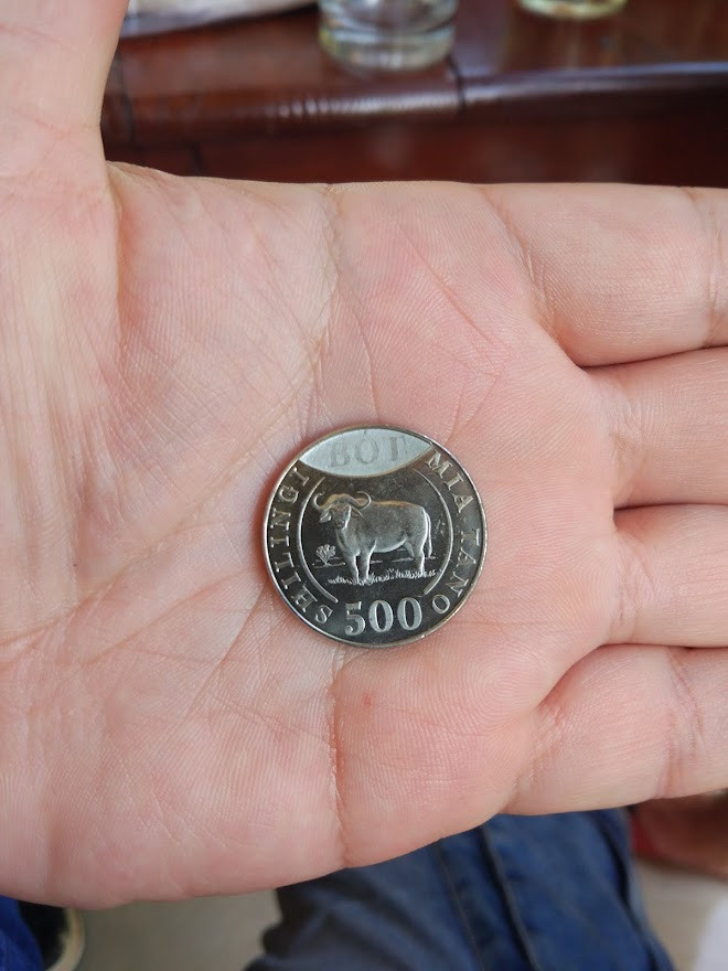 Занзибар, 2019 г. Дайвинг-клуб «Капитан Морган», Беларусь