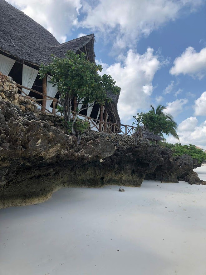 Занзибар, 2019 г. Дайвинг-клуб «Капитан Морган», Беларусь