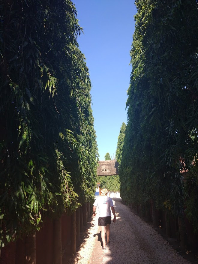 Занзибар, 2019 г. Дайвинг-клуб «Капитан Морган», Беларусь