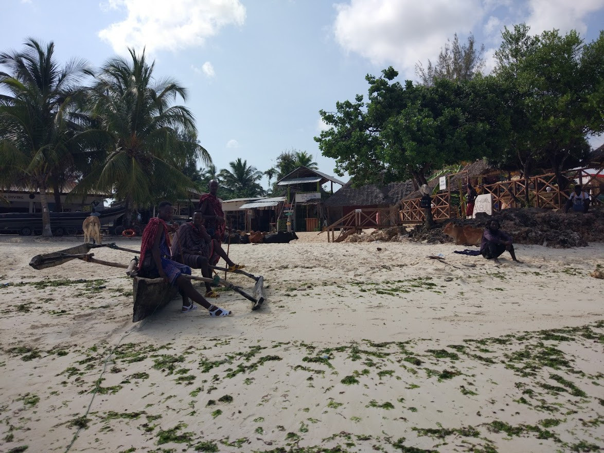 Занзибар, 2019 г. Дайвинг-клуб «Капитан Морган», Беларусь