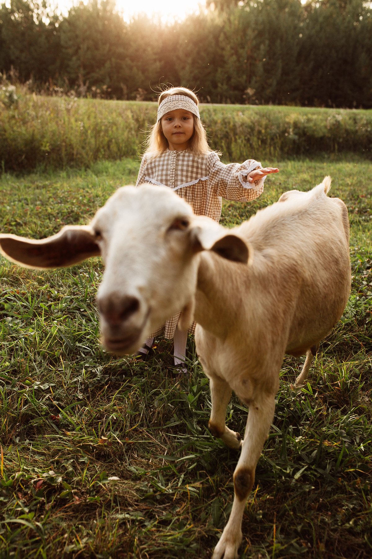 Катюша с козами. Семейный и детский фотограф в Ижевске Анастасия Камариттинова