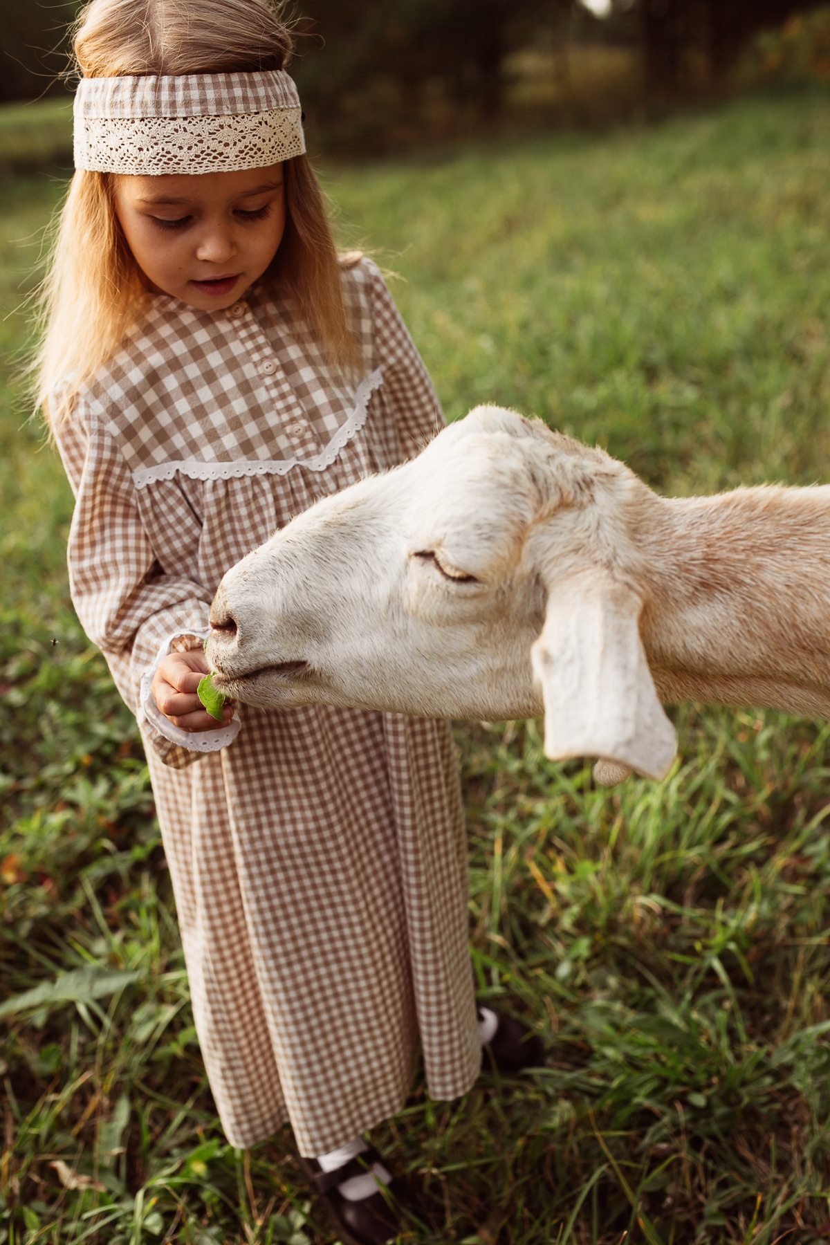 Катюша с козами. Семейный и детский фотограф в Ижевске Анастасия Камариттинова