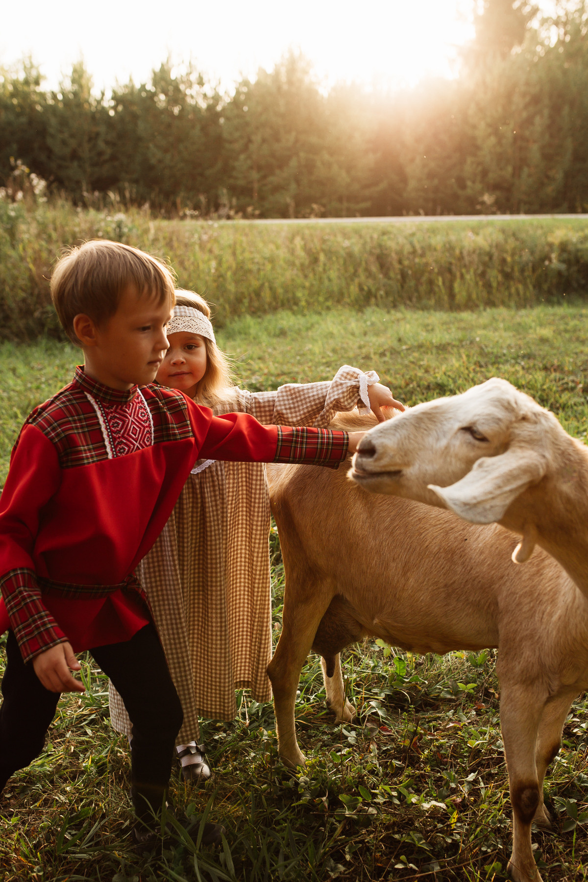Катюша с козами. Семейный и детский фотограф в Ижевске Анастасия Камариттинова