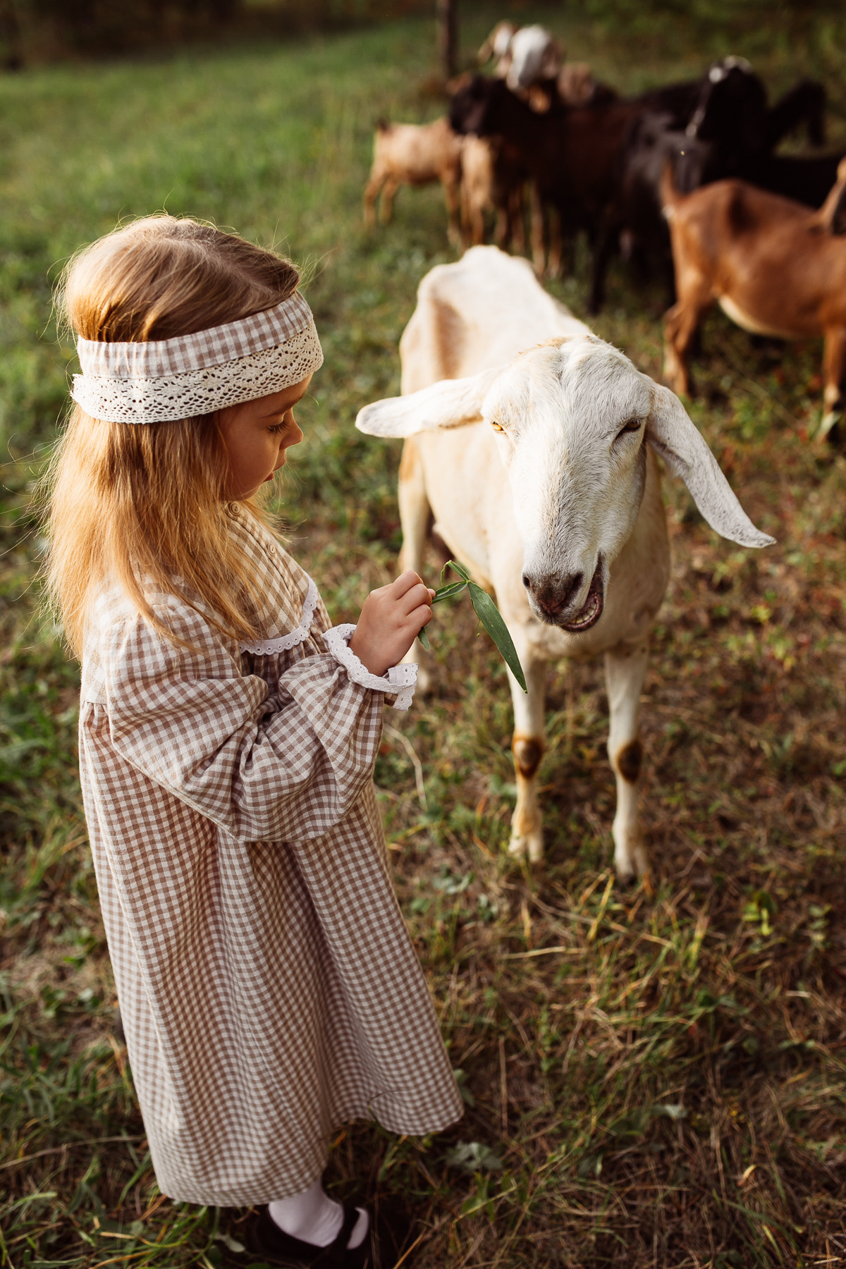 Катюша с козами. Семейный и детский фотограф в Ижевске Анастасия Камариттинова