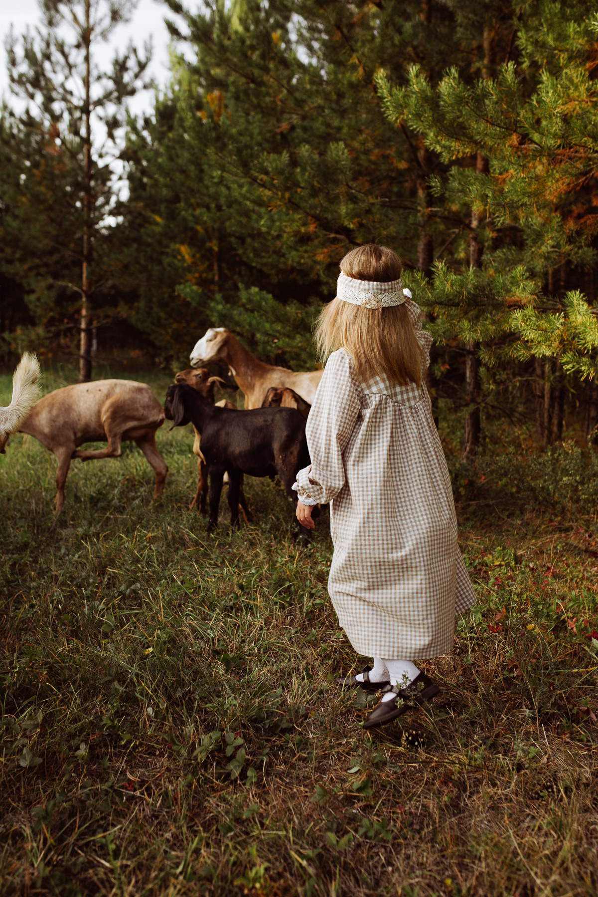 Катюша с козами. Семейный и детский фотограф в Ижевске Анастасия Камариттинова