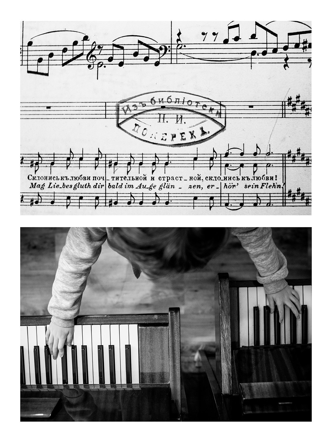 Штампы. Фотограф Дарина Фельдман