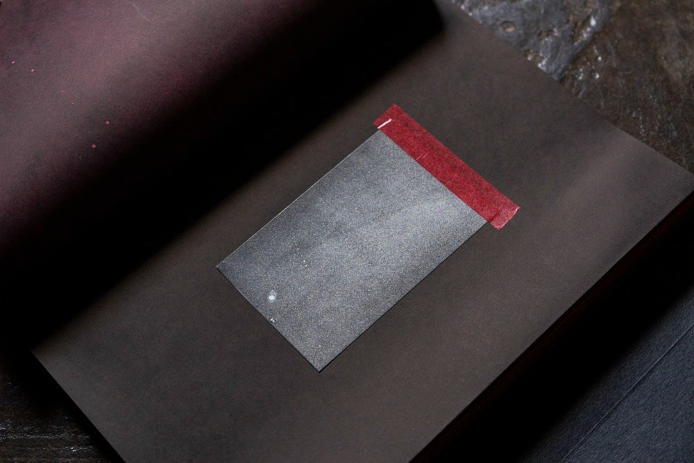 Как форма книги может влиять на концепт?. Самоорганизация Низина