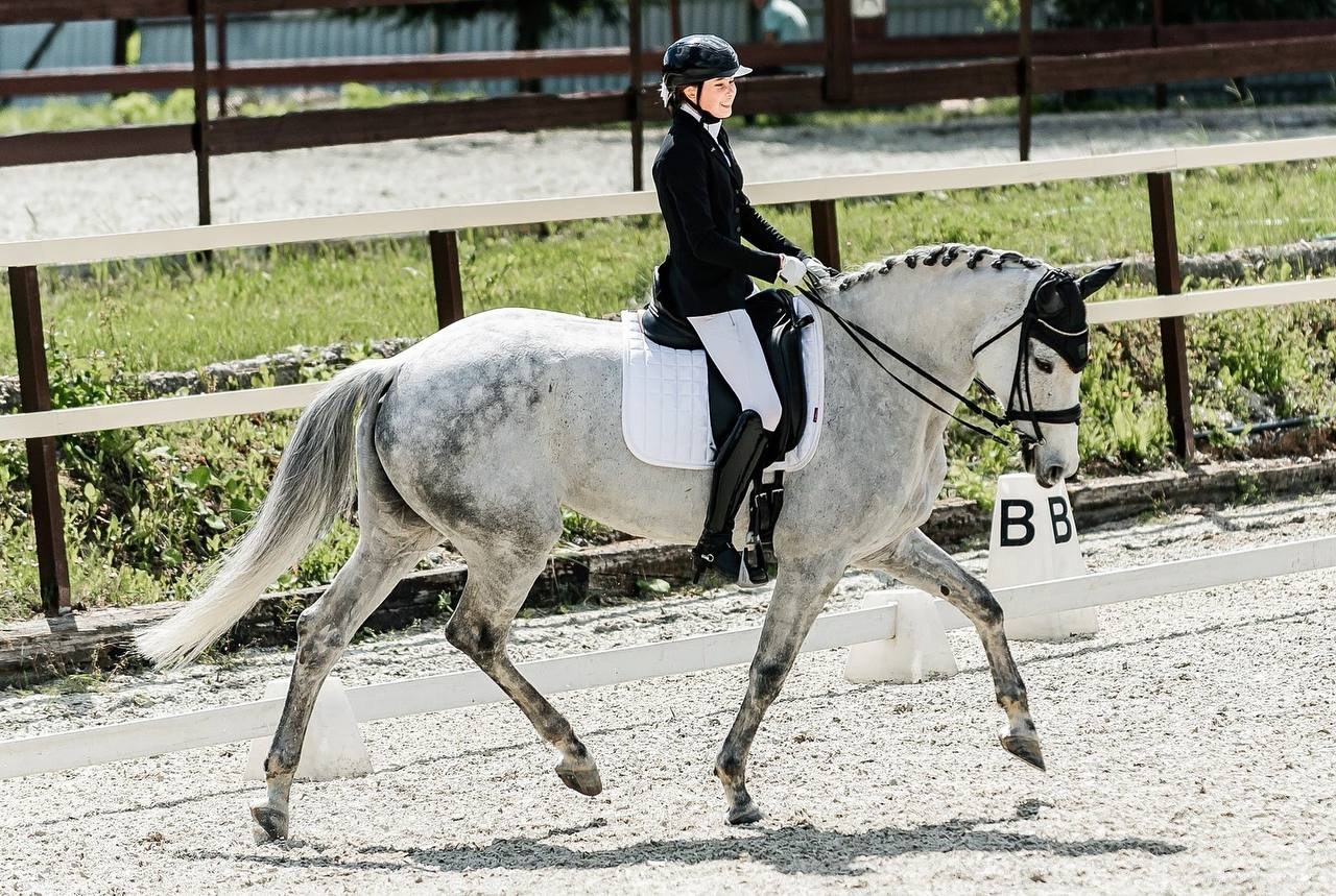 Чемпионат и Первенство Московской области по ВЫЕЗДКЕ, КСК «Эквиторус». Конный фотограф Куракина Дарья • Фотосессии с лошадьми