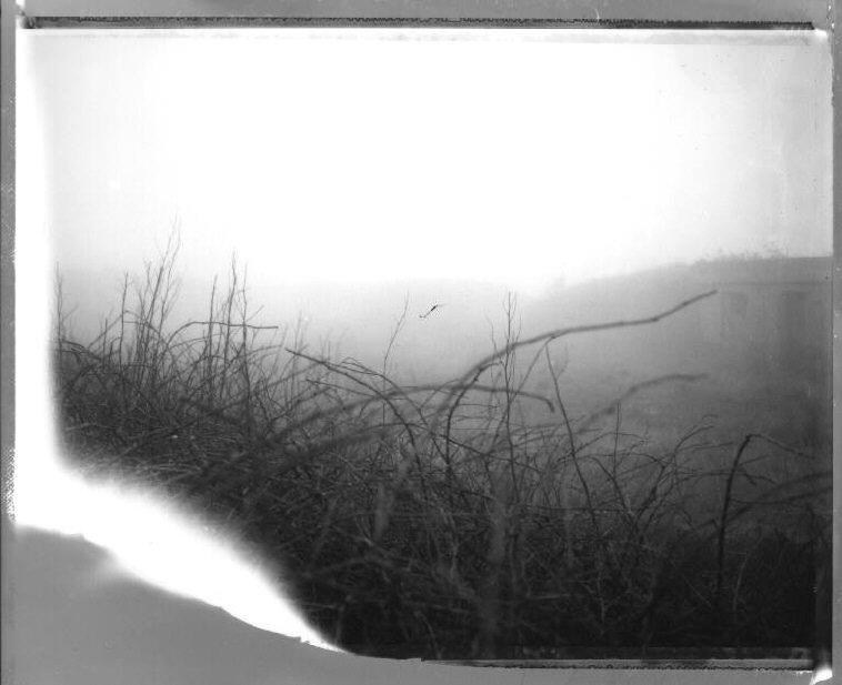 Polaroids. Gueorgui Pinkhassov