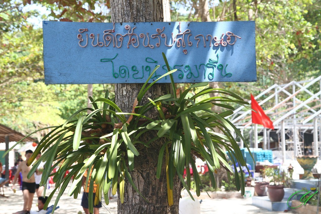 Тайланд. Пхукет 2013. Улица, люди, жизнь…