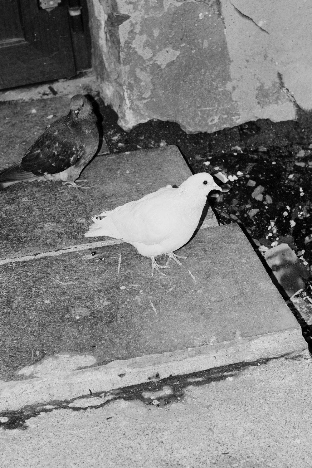 Train to the Future. Kristina Sergeeva