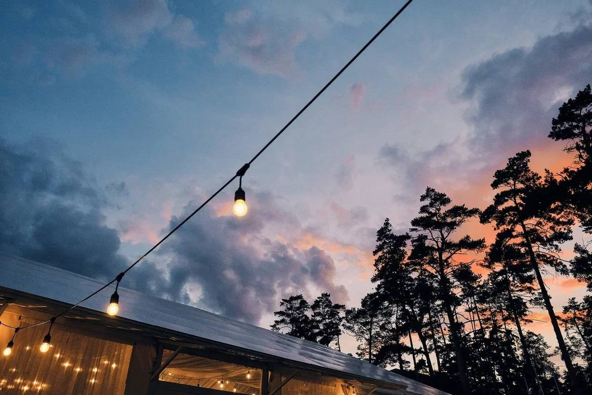 Никита и Виктория. Организатор свадеб Барнаул/Алтай/Дагестан