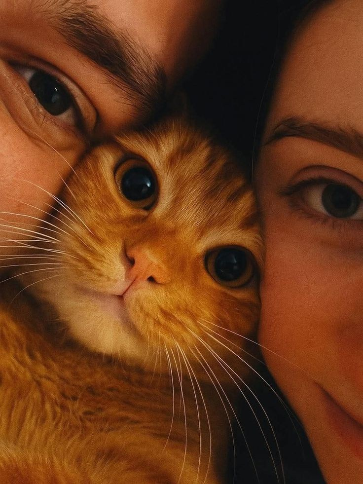 Love story портфолио. Фотограф Казань