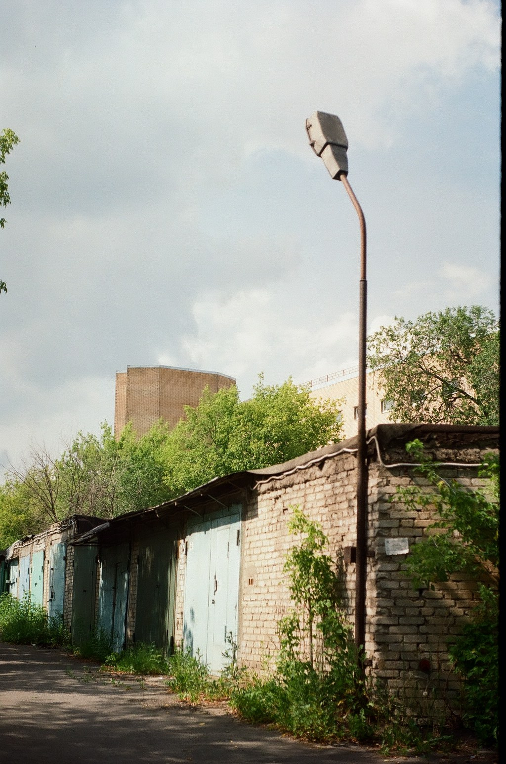 Пленочная хроника. Фотограф-любитель Ксения Мирзоян