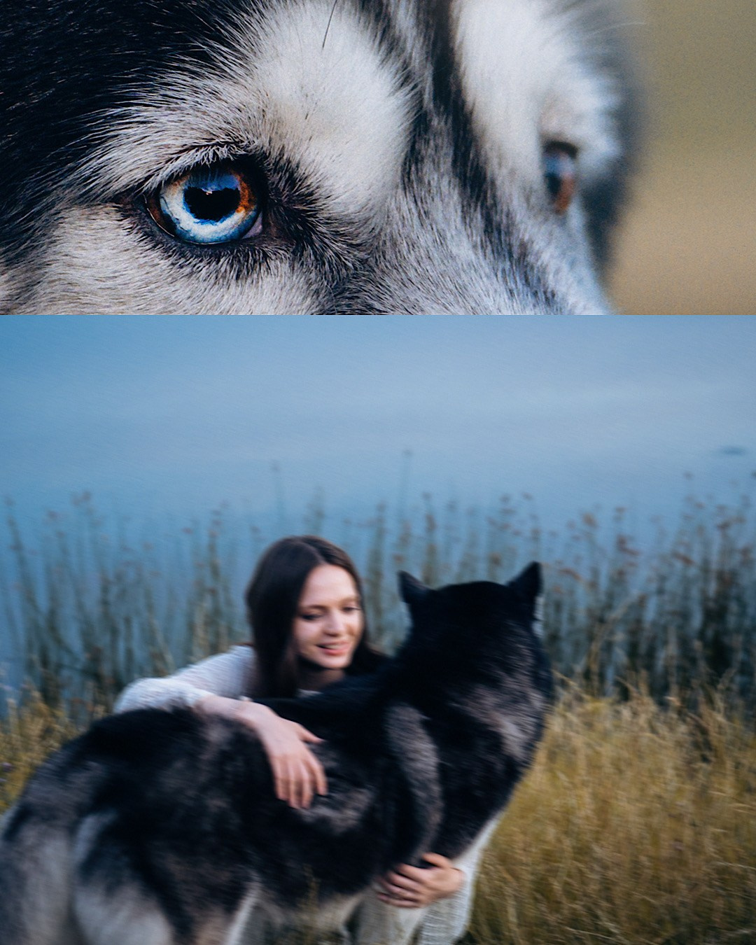 Мария и Вегас. Фотограф анималист в Москве и Санкт-Петербурге Свиридова Анна