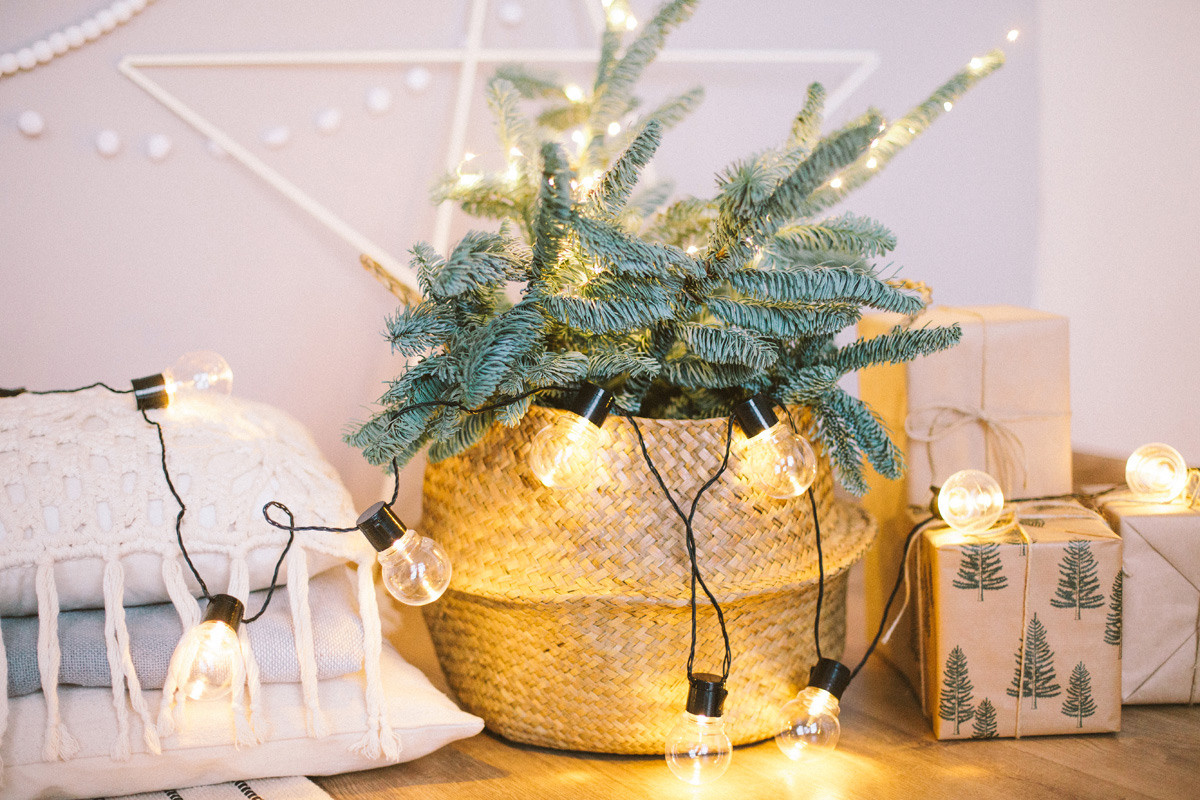 ~ Фото Новогодних фотостудий ~