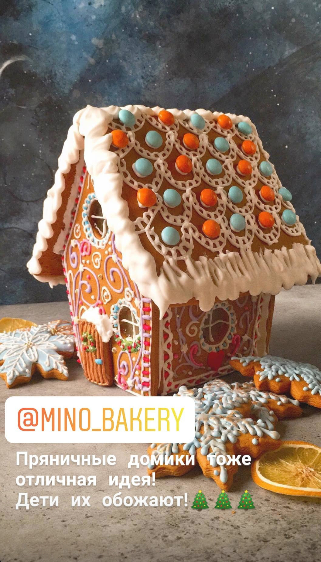 ~ Как подготовиться к новогодней фотосессии ~