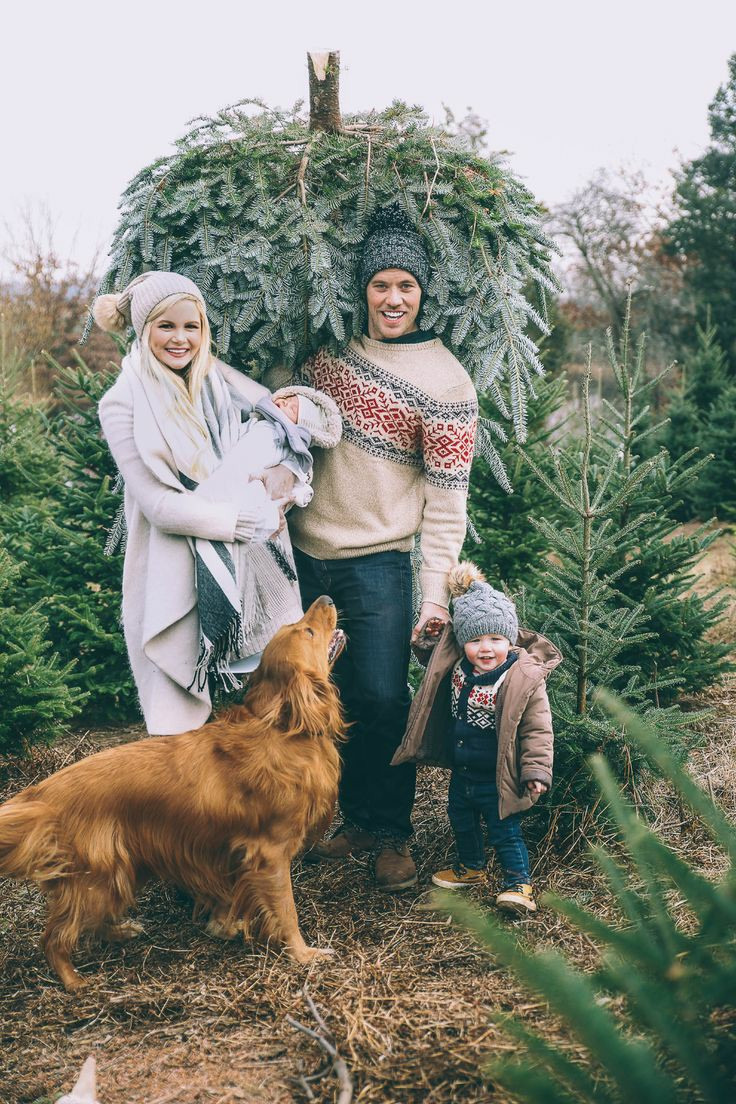 ~ Как подготовиться к новогодней фотосессии ~