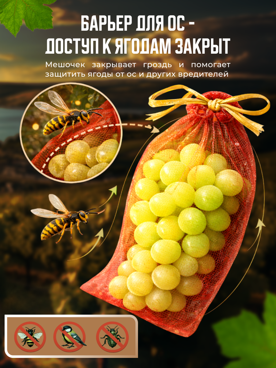 Инфографика | Карточка товара | Сад и огород. Графический дизайнер AI в Москве Валерия Кос