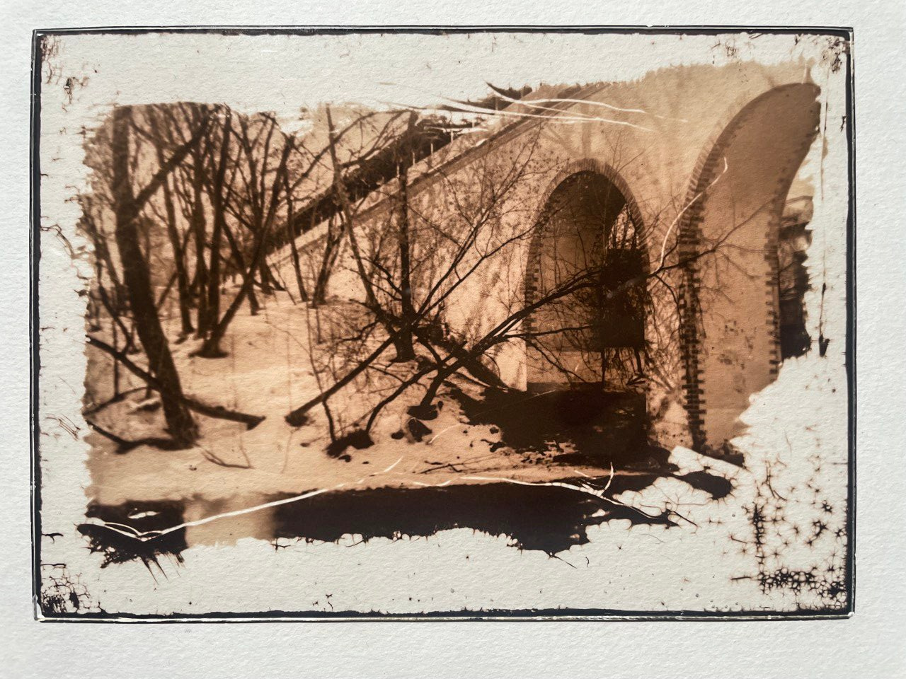 Lith prints. Darkroom aesthetics