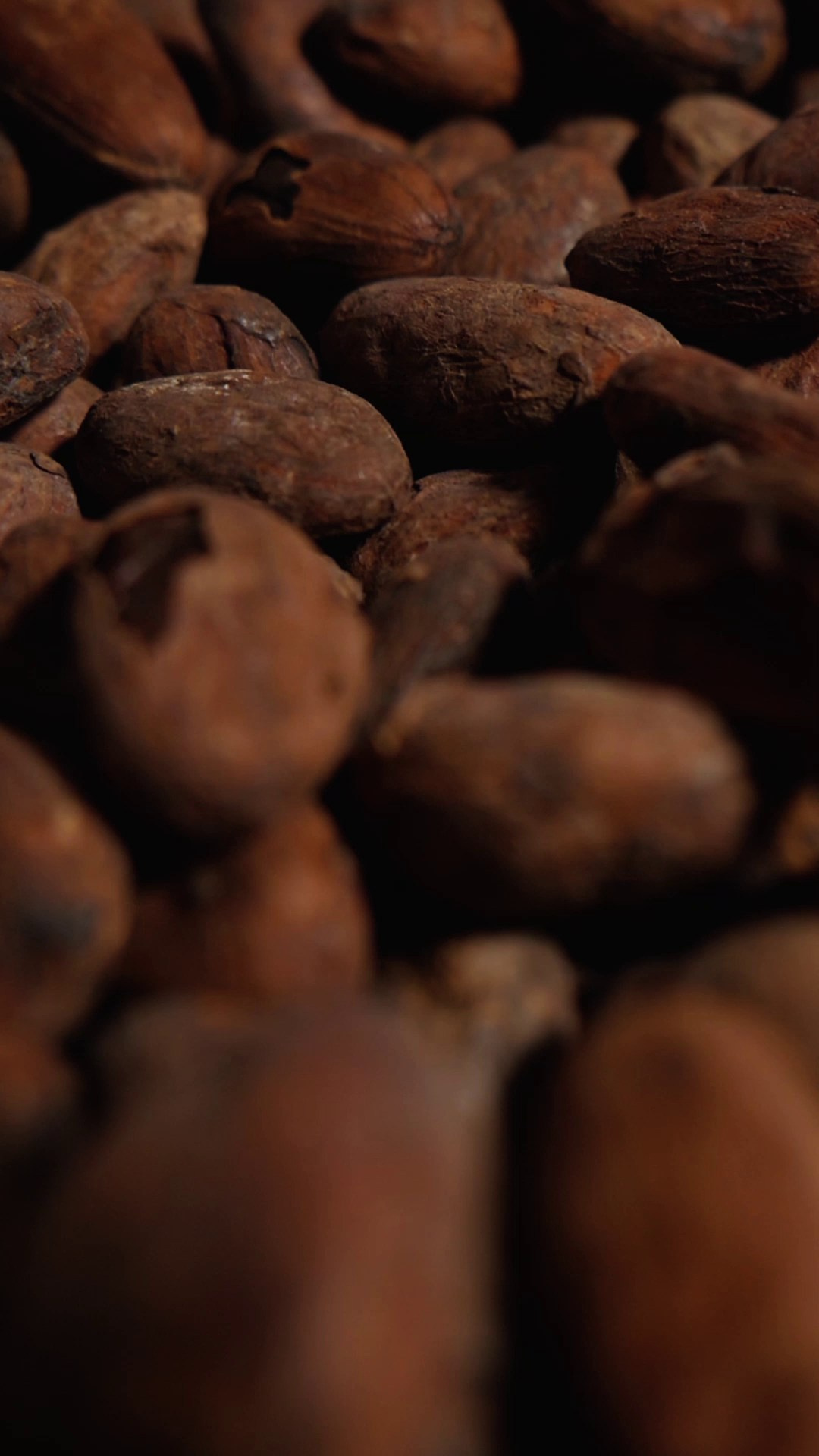 Видео для вашего бизнеса. Курортный фотограф и видеограф на Кавказе Ксения Перегрин